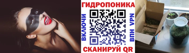 Бошки Шишки Ессентуки