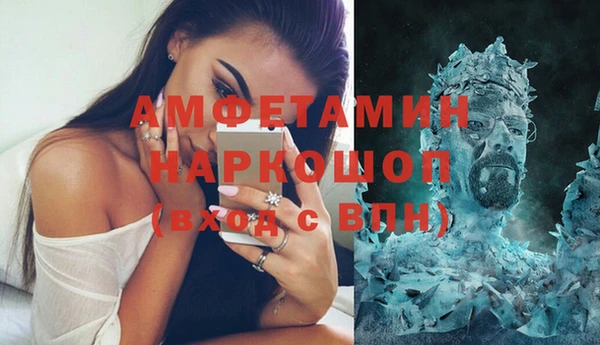 прущие грибы Балахна