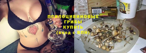 прущая мука Белоозёрский