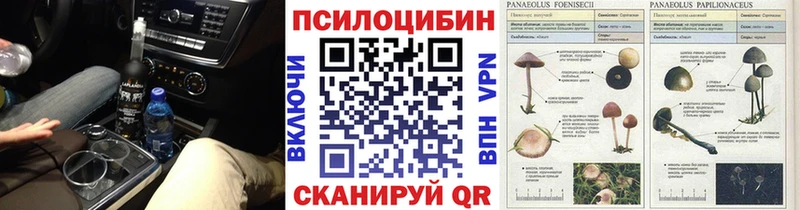 Галлюциногенные грибы Psilocybe  сайты даркнета состав  Ессентуки  KRAKEN маркетплейс 