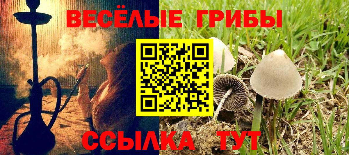 Галлюциногенные грибы Magic Shrooms Ессентуки