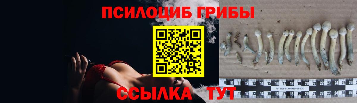 Ессентуки  Псилоцибиновые грибы MAGIC MUSHROOMS  Вход с VPN 